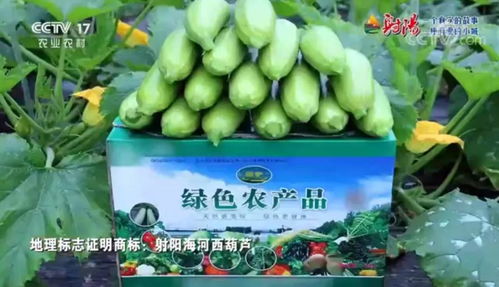 火遍全國！射陽綠色農產品宣傳片刷屏央視、江蘇衛視黃金時段